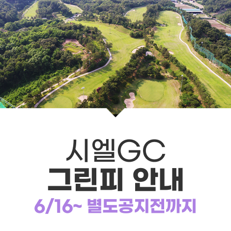 6월16일이후그린피 